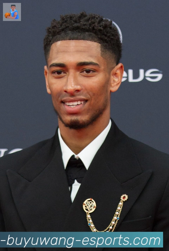 维尼修斯